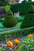 Perrycroft, Herefordshire. (Archer) jardin topiaire d'if en pente, (PR disponible)