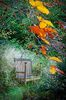 Perrycroft, Herefordshire. (Archer) banc en bois sous des hêtres matures dans un jardin boisé, (PR disponible)