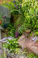68 Kensington Rd, Bristol (Gren Johnson) Petit jardin de la ville, rempli de plantes en pots. passage latéral étroit planté de plantes à feuillage, y compris la fougère arborescente