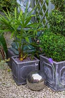 David Grays Garden à Warmley, Bristol, Royaume-Uni. très petit jardin de ville avec de nombreux pots, statues. plantes exotiques en pot