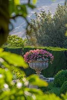 Villa La Foce, Toscane, Italie. Grand jardin avec couverture topiaire taillée et vue sur la campagne toscane, grande urne avec Pelargonium