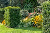 Jardin Waterperry, Oxfordshire. parterres automnaux avec couverture formelle d'if