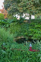 Jardin Beechwell (Tim Wilmot), Bristol, Royaume-Uni. Jardin de ville exotique avec plantation subtropicale architecturale autour de l'étang