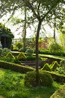Stone House, Glos., UK (Lukas) parterre de jardin aux herbes ornées avec des pyramides topiaires en forme