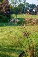 Wellfield Barn, Wells, Somerset, UK (Nasmyth) stipa gigantea au bord de la pelouse, (PR disponible)
