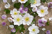Collage de fleurs d'anémone