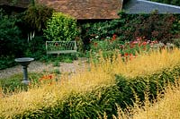 Jardin privé Sussex Lonicera nitida Baggescens Gold avec jardin de gravier au-delà
