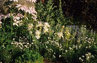 Chelsea FS 1997 Design Christine Pritchard parterre de fleurs sur le thème de couleur blanche avec Clematis Iris Primula et Alliums