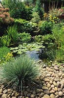 Holbeache Rd Wolverhampton Pond avec bordure de galets et cascade Nénuphars Iris et marginaux Festuca glauca