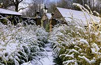Jardin privé Sussex chemin en hiver avec de la neige couvrant Lonicera nitida Baggescens Gold