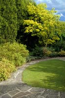 Merrist Wood Surrey pelouse circulaire avec chemin de pavage fou Robinia pseudoacacia Frise