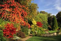 Brook Lodge Farm Cottage Surrey en automne jardin avec Acer palmatum cultivars rustiques Fuchsias et Vitis coignetiae