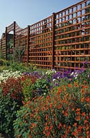 RHS Wisley Surrey treillis colorés au-dessus de la rangée d'hélianthemums et altos en parterre de fleurs surélevé