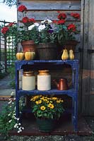 Factory Cottage Suffolk ensemble rustique d'étagères bleues pour pots et pots