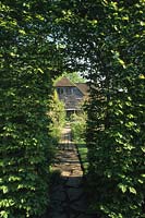 Arche de Vann Surrey en haie de hêtres avec chemin d'accès et vue jusqu'à la maison
