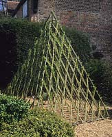 Jardin privé Hampshire sculpture de pyramide de saule vivant par Barbara Hunt