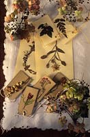 Gardeners Cottage Cheshire cartes de vœux et étiquettes-cadeaux en fleurs de Sally Hall