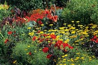 RHS Wisley Surrey. Parterre de fleurs herbacées colorées