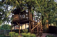 Tilford Cottage Surrey cabane en bois dans l'if