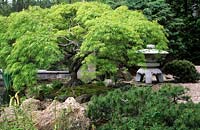 Hume Japanese Stroll Garden Hempstead CT Pinus mugo Pumilo Acer palmatum Dissectum Wind temple statue and rocks