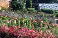 Les jardins perdus de Heligan Cornwall jardin de fleurs coupées