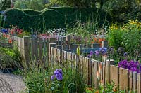 Petit jardin clôture en bois clôtures inhabituelles largeurs variées haie fleurie vivaces d'été Gaura linheimeri Pennisetum