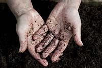 mains dans la terre levage texture sentir organique sol pratique maison cultivé printemps avril potager plante