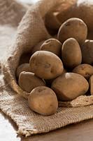 pomme de terre de semence Sante pommes de terre sac sac légume d'hiver janvier organique enregistré maison cultivé culture principale jardin potager