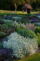 Jardin englouti West Dean Sussex vue formelle des plates-bandes surélevées chemins d'herbe été juin soleil ensoleillé fleurs fleurs fleurs Cerastium