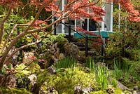 Le jardin Green Switch. En regardant à travers les feuilles d'Acer palmatum 'Fireglow' et Pinus à la maison d'été. Kazayuki Ishihara. Commanditaire: G Lion