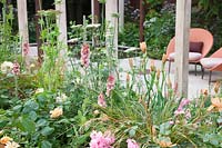 Le Wedgwood Garden, la plantation à l'avant du jardin comprend Verbascum 'Helen Johnson', Iris 'Pink Charm' et Daucus carota 'Dara' - Design: Jo Thompson - Sponsor: Wedgwood
