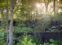 Le jardin M et G, le lever du soleil sur un jardin boisé, des plantes aimant l'ombre, une sculpture en bois de chêne brûlé durable par Johnny Woodford, - Designer: Andy Sturgeon - Sponsor: M and G Investments Chelsea Flower Show 2019