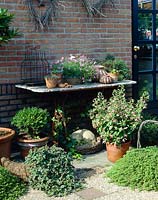 Collection de plantes de patio