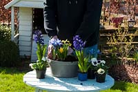 Planter des fleurs de printemps sur pot