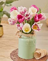 Mélange de tulipes sur vase