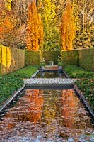 Fagus sylvatica 'Dawyck Gold' se reflète dans un étang rectangulaire en automne.