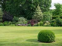 Les boules topiaires Buxus Sempervirens sont stratégiquement placées dans la pelouse pour ajouter de l'intérêt et de la symétrie.