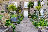 Terrasse à côté de la maison avec des roses standard, des pots de tulipes et des myosotis. Ferme Brilley Court, Whitney-on-Wye, Herefordshire