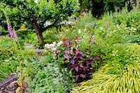Banque de plantes herbacées et d'arbustes à fleurs d'été, y compris Hakonechloa macra 'Aureola', Persicaria microcephala 'Red Dragon' et eryngiums. Vue de l'église, Appleby-in-Westmorland, Cumbria, Royaume-Uni.