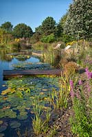 Piscine naturelle à Ellicar Gardens, Nottinghamshire