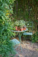 Géraniums dans des pots en argile sur table et chaises de bistrot, St Stephens Avenue, St Albans, Hertfordshire, Royaume-Uni.