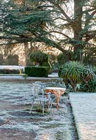 Terrasse pavée avec de vieilles tables et chaises rouillées et Pinus radiata - pin de Monterey, West Sussex