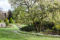 Parterre de fleurs à la fin du printemps avec Magnolia en fleur à Kilver Court Gardens, Shepton Mallet, Somerset.
