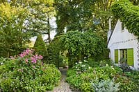 Maison et parterres de fleurs avec un chemin menant à travers l'arche vers le jardin. Rosa 'William Lobb', géranium, boîte topiaire et Astilbe