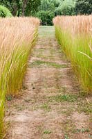 Chemin d'herbe entre les blocs de Calamagrostis x acutiflora 'Karl Foerster' à Bury Court Gardens, Hampshire, Royaume-Uni.