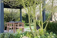Amelanchier à plusieurs tiges surplombe une table et des chaises de jardin sur une terrasse abritée - 'The Landform Spring Garden', Ascot Spring Garden Show, 2018.