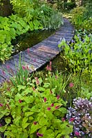 Chemin en terrasse menant à travers l'étang et la plantation marginale, jardin Laura Dingemans, Pays-Bas.