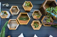 Un mur de jardinières hexagonales en bois affichant une collection de plantes.