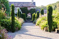 Parterres de fleurs herbacées doubles avec un cadre de contreforts en if anglais et Taxus baccata 'Fastigiata Robusta '. Plas Cadnant Hidden Gardens, Menai Bridge, Anglesey, UK