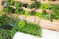Mur vivant lambrissé avec salade, herbes et plantes fruitières. Platelage en bois de salade, RHS Malvern Spring Festival, 2018